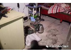 4起火災，42人死亡！它們有個共同的教訓……